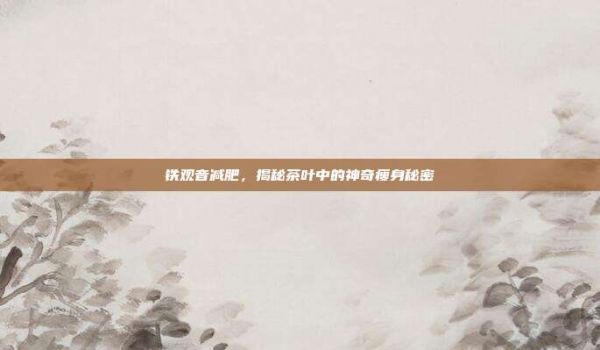 鐵觀音減肥,揭秘茶葉中的神奇瘦身秘密