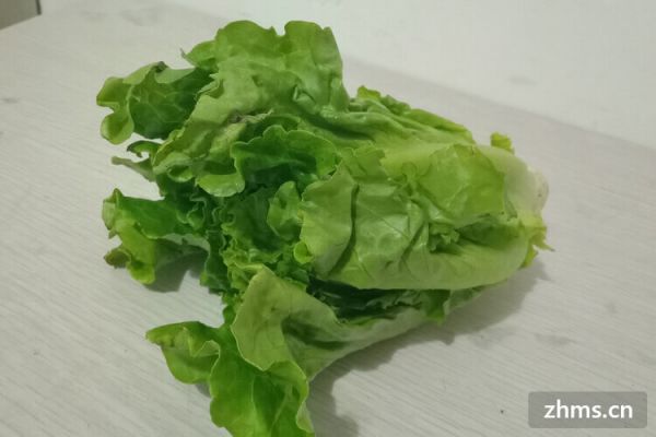 减肥生菜怎么吃呢