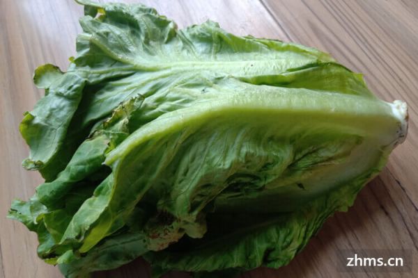 减肥生菜怎么吃呢