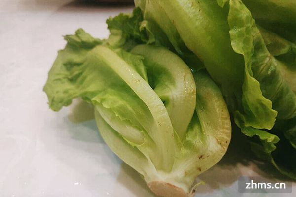 减肥生菜怎么吃呢