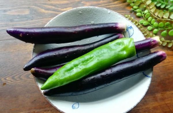 教你一个做茄子省油、少油的小技巧，简单实用，味道又香又下饭