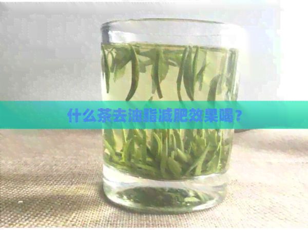什么茶去油脂减肥效果喝？
