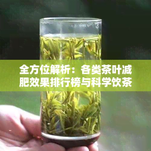全方位解析：各类茶叶减肥效果排行榜与科学饮茶减脂指南