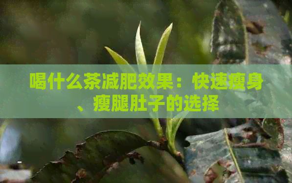 喝什么茶减肥效果：快速瘦身、瘦腿肚子的选择