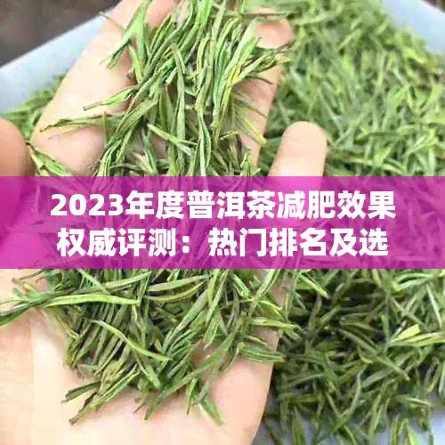 2023年度普洱茶减肥效果权威评测：热门排名及选购指南