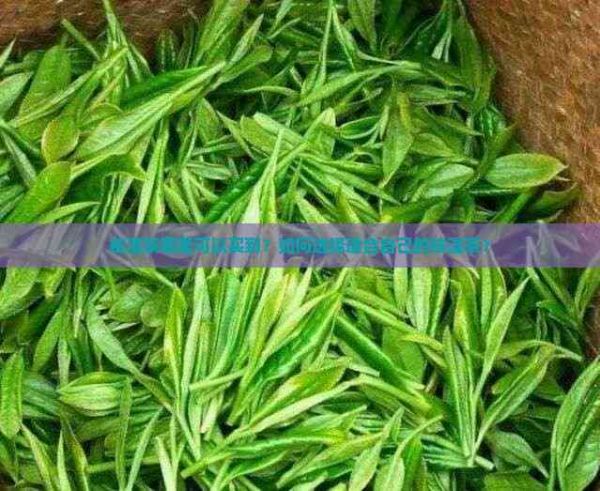祛湿茶哪里可以买到？如何选择适合自己的祛湿茶？