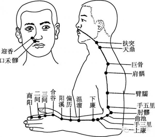 中医减肥5个小妙招，准备好了就进来吧！