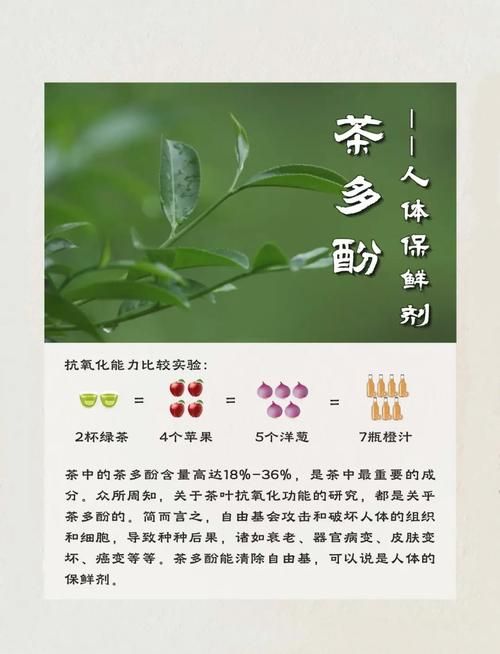 防中茶的茶葉，品質(zhì)、健康與未來的守護者