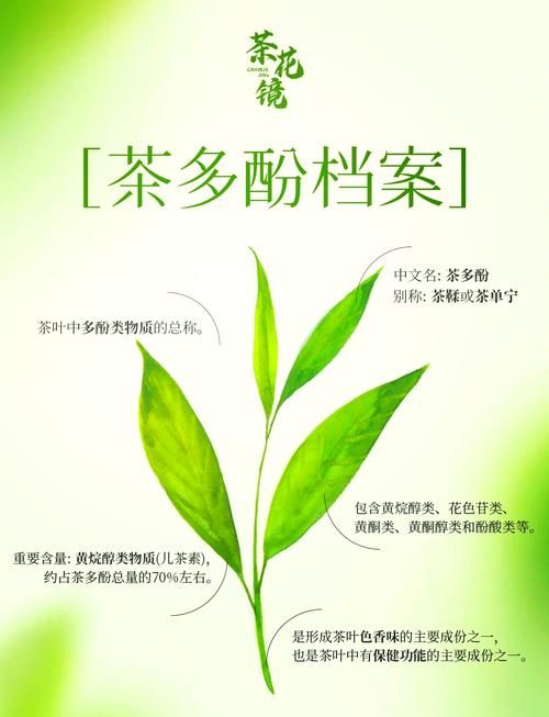 普洱茶茶多酚含量檢測，揭示茶葉品質(zhì)的奧秘