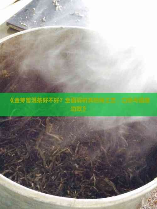 《金芽普洱茶好不好？全面解析其獨(dú)特工藝、口感與健康功效》
