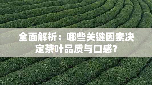 全面解析：哪些關(guān)鍵因素決定茶葉品質(zhì)與口感？