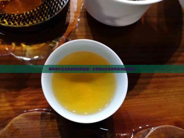 哪種茶葉富含茶多酚和氨基酸？全面解析優(yōu)質(zhì)茶種及其健康益處