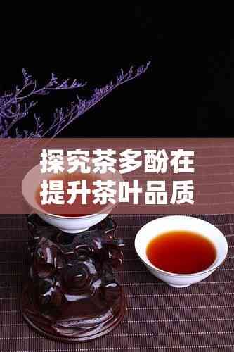 探究茶多酚在提升茶葉品質(zhì)中的作用