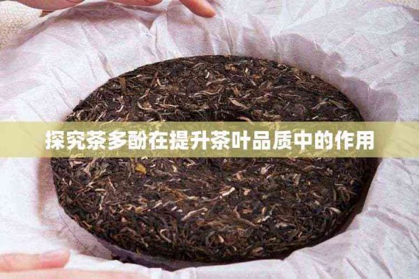 探究茶多酚在提升茶葉品質(zhì)中的作用