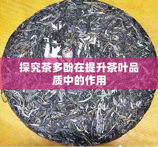 探究茶多酚在提升茶葉品質(zhì)中的作用