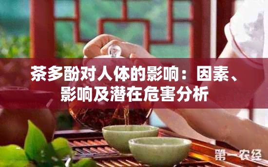 茶多酚对人体的影响:因素、影响及潜在危害分析