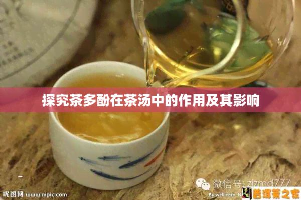 探究茶多酚在茶汤中的作用及其影响