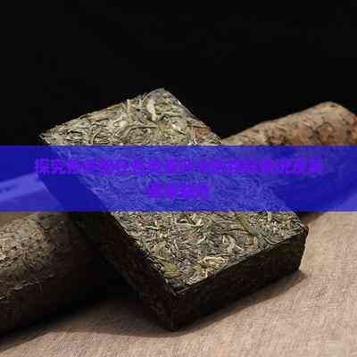 探究茶多酚在各類茶葉中的存在情況及其健康益處
