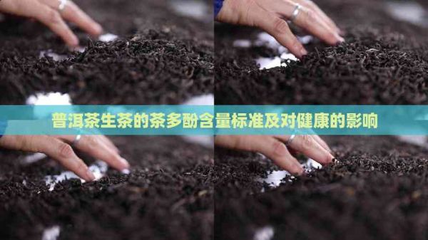 普洱茶生茶的茶多酚含量標(biāo)準(zhǔn)及對(duì)健康的影響