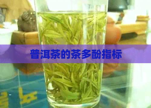 普洱茶的茶多酚指標