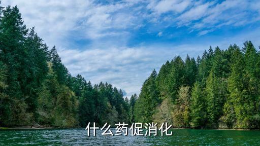 什么药促消化