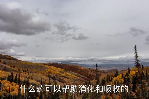 什么药可以帮助消化和吸收的