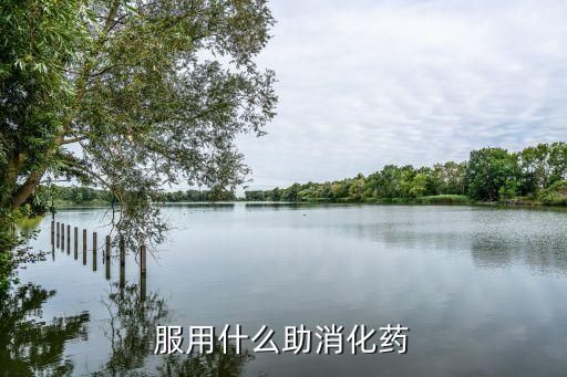 服用什么助消化药