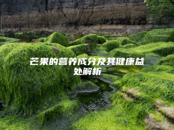 芒果的营养成分及其健康益处解析