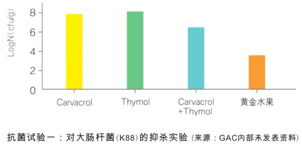 植物精油-黃金水果抗菌實(shí)驗(yàn)一