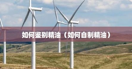 如何鉴别精油（如何自制精油）