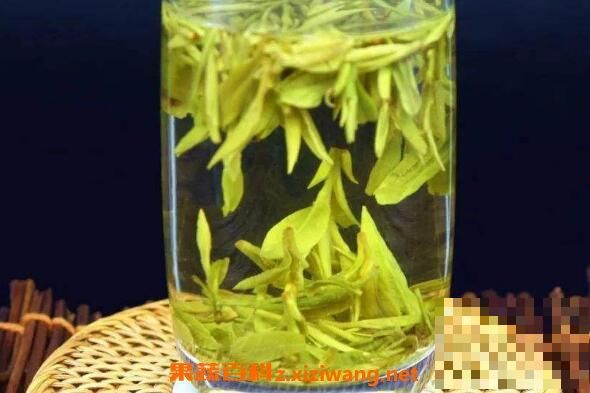 茶多酚的功效與作用有哪些
