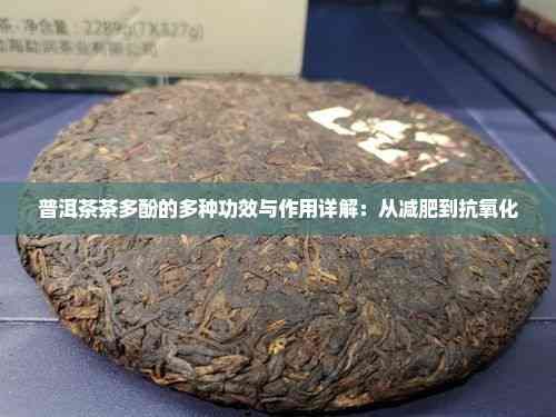普洱茶茶多酚的多种功效与作用详解：从减肥到抗氧化