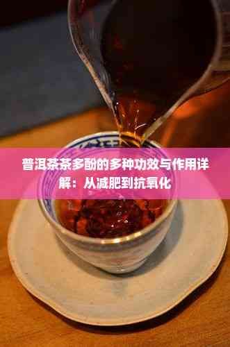 普洱茶茶多酚的多种功效与作用详解：从减肥到抗氧化