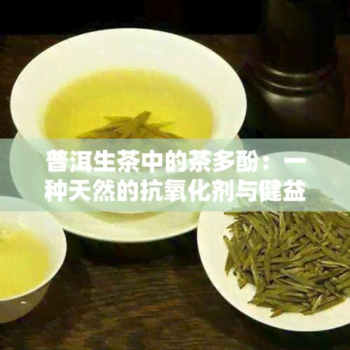 普洱生茶中的茶多酚：一種天然的抗氧化劑與健益處