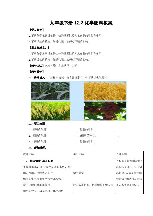 北京版化学九年级下册《化学肥料》教案1