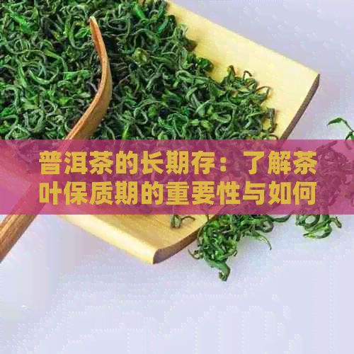 普洱茶的長期存：了解茶葉保質(zhì)期的重要性與如何保存