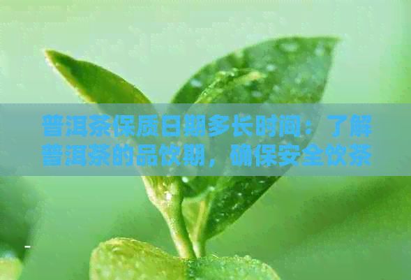 普洱茶保質(zhì)日期多長時(shí)間：了解普洱茶的品飲期，確保安全飲茶。