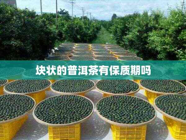 塊狀的普洱茶有保質(zhì)期嗎