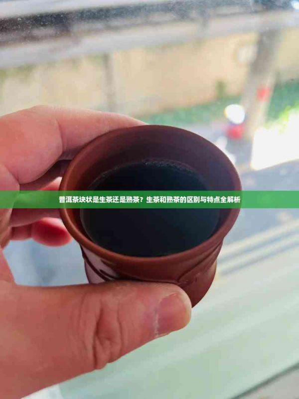 普洱茶塊狀是生茶還是熟茶？生茶和熟茶的區(qū)別與特點(diǎn)全解析
