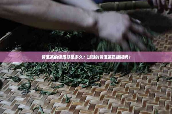 普洱茶的保質(zhì)期是多久？過期的普洱茶還能喝嗎？
