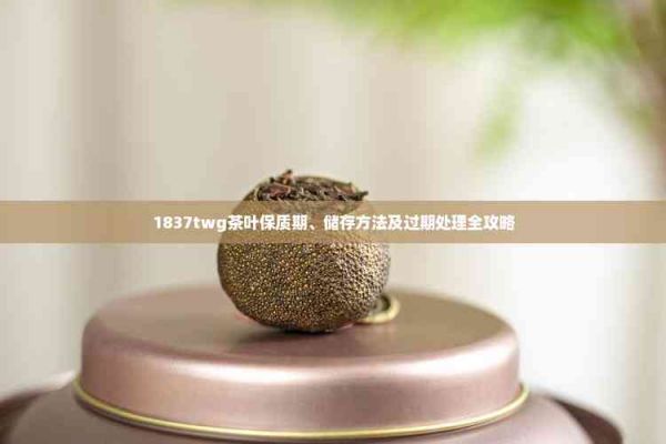 1837twg茶叶保质期、储存方法及过期处理全攻略
