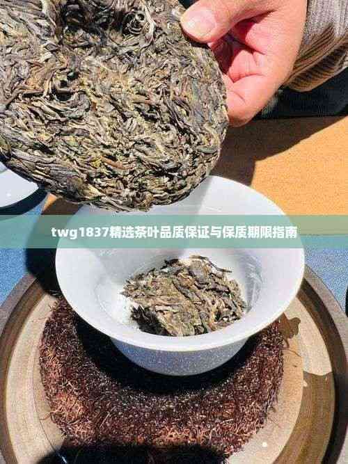 twg1837精选茶叶品质保证与保质期限指南