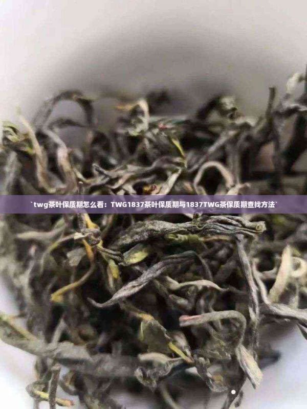 `twg茶叶保质期怎么看：TWG1837茶叶保质期与1837TWG茶保质期查找方法`