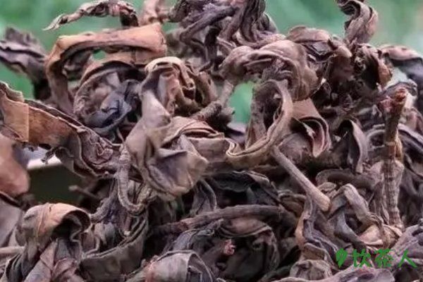 九节茶的功效与作用，活血化瘀/清热解毒/消炎杀菌