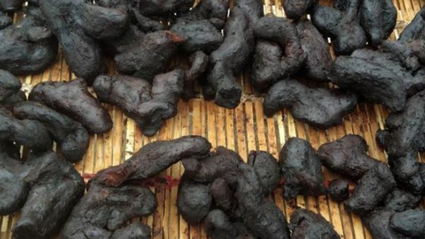 九制黄精的功效与作用、禁忌和食用方法