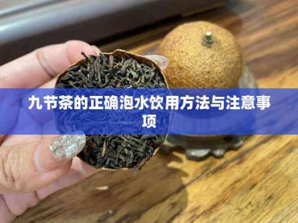 九节茶的正确泡水饮用方法与注意事项