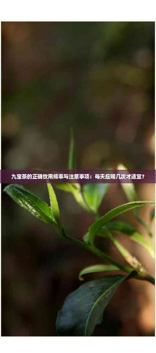 九宝茶的正确饮用频率与注意事项：每天应喝几次才适宜？