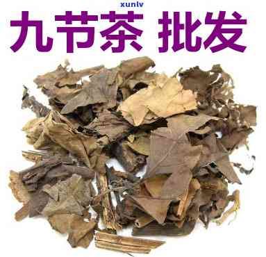 九节茶的用量是多少克？详细用法与用量介绍
