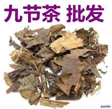 九节茶的用法与用量-九节茶的用法与用量是多少