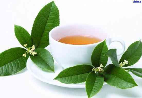 九节茶的用量是多少-九节茶的用量是多少克